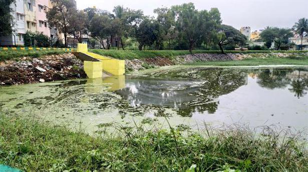 Residents up in arms over sewage entering Doddakallasandra lake