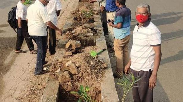 Residents of Chennai’s Velachery get together to ‘green’ their locality