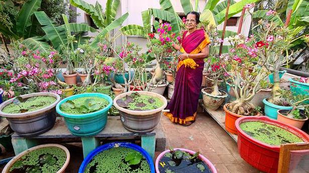 Octogenarian finds joy in the company of plants