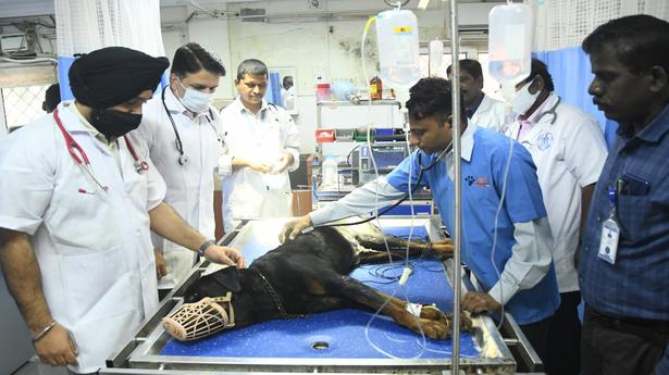 Indian Army veterinarians undergo training in Vepery