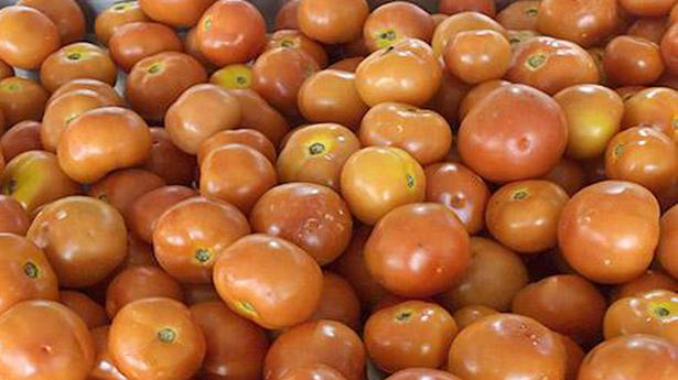 HC directs Koyambedu panel to allow concession to tomato traders