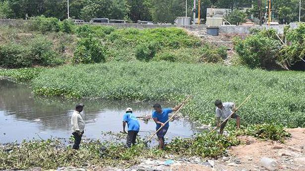 Water Resources Department starts work to reduce the bund height of Cooum - The Hindu