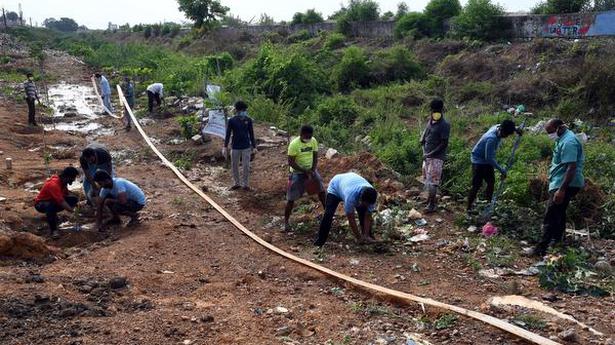 Chennai volunteers, along with Water Resources Department, to create green belt around Red Hills lake - The Hindu