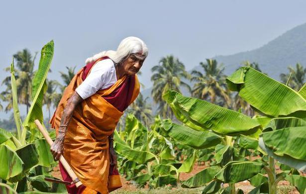 105-year-old Pappammal from Thekkampatti village near Coimbatore won the Padma Shri in 2021