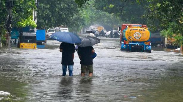 Chennai Rains: 444 neighborhoods flooded, 160 trees uprooted