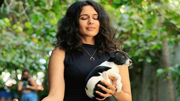 At this pet yoga workshop in Chennai, you can take home the puppies you bond with
