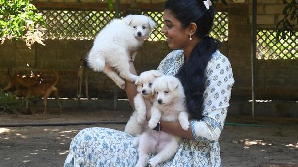 Watch | Inside India's largest dog farm
