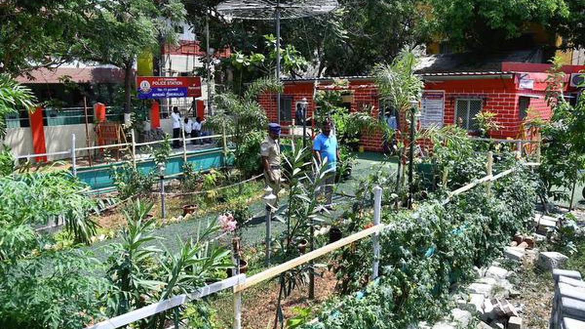 Garden Raised At Taramani Police Station The Hindu