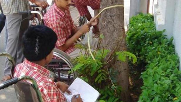 Taking stock of the green cover in Chennai