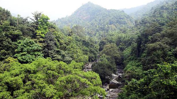 Greens urge Kerala government to buy disputed land at Thusharagiri