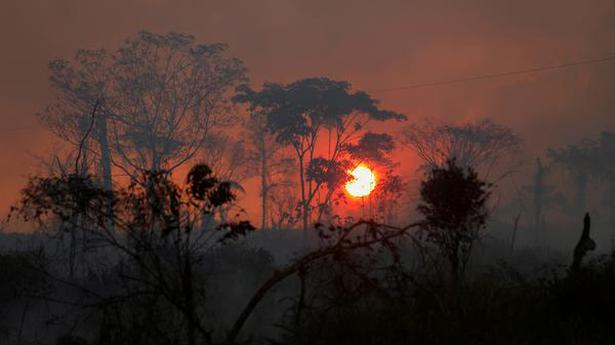 Brazil withheld deforestation data 'til COP26's end: Sources