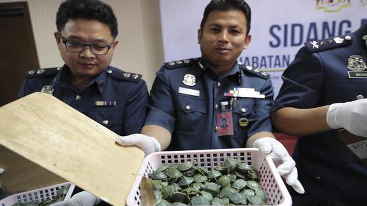 Four Indians Arrested In Malaysia On Charges Of Drug Smuggling The Hindu