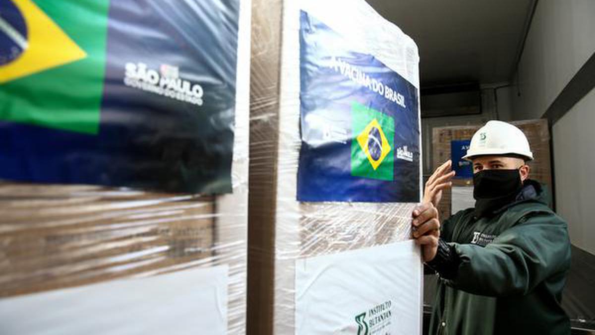 Brazil health regulator suspends use of 12 million Sinovac vaccine shots - The Hindu