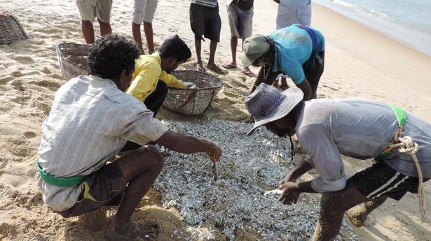 Sri Lankan Tamil fishermen urge Chief Minister Stalin to come up with a progressive solution to conflict