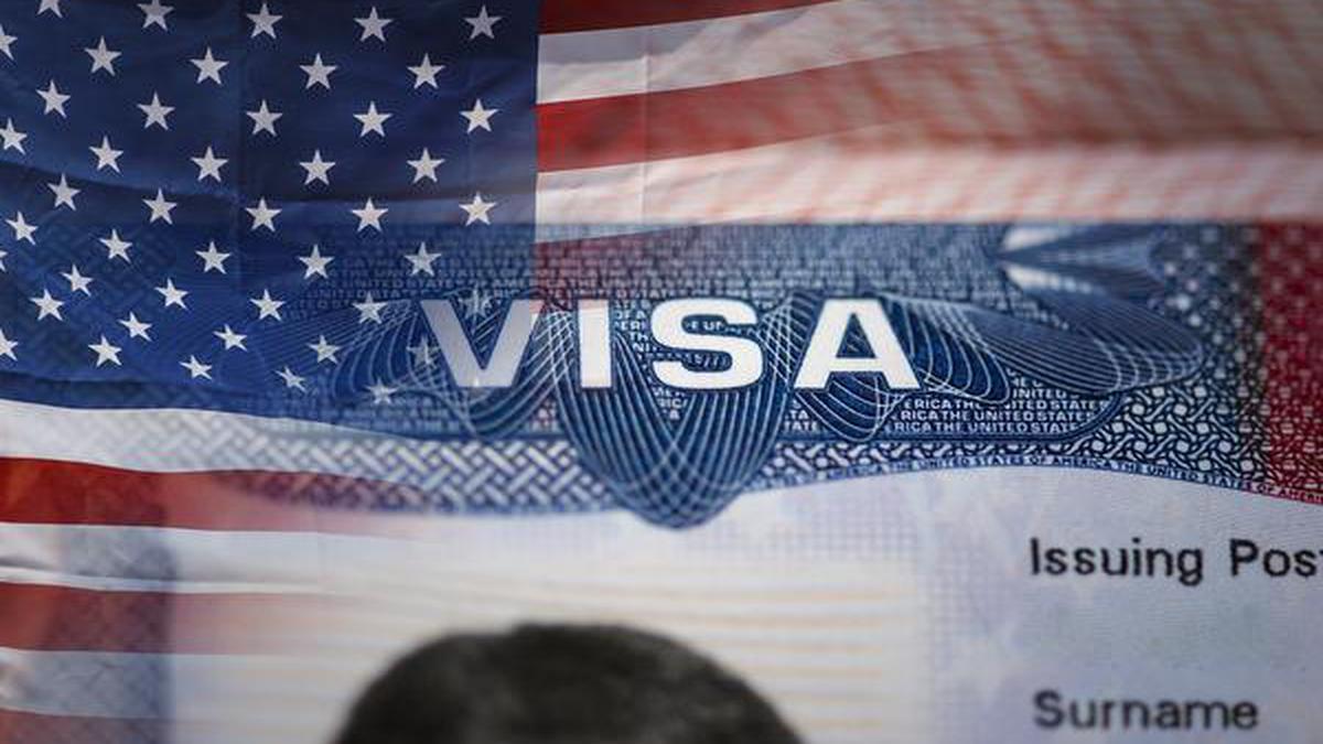 Coronavirus | India talking to U.S. over visa sanctions - The Hindu