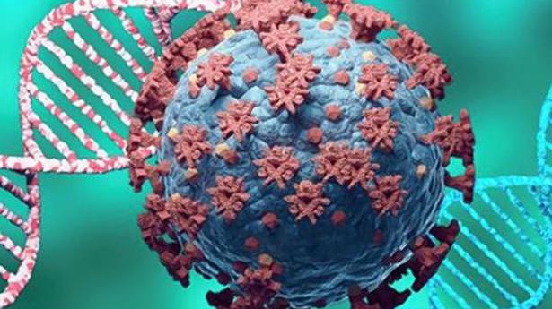 New coronavirus variant 'IHU' identified in France