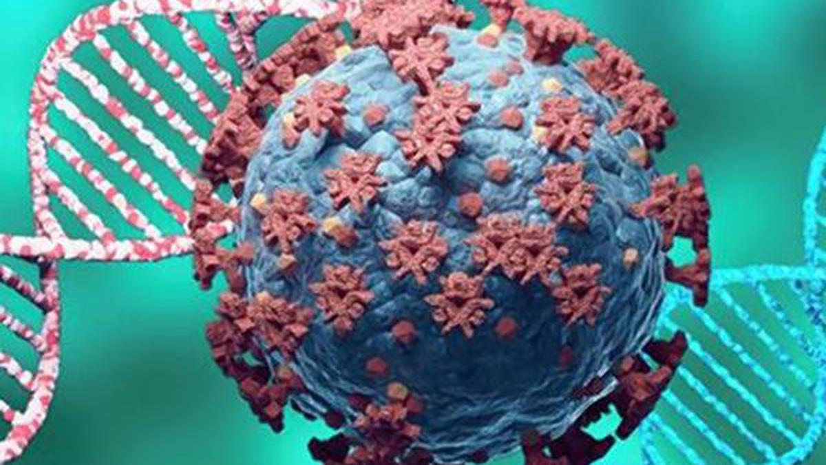 New coronavirus variant 'IHU' identified in France   The Hindu