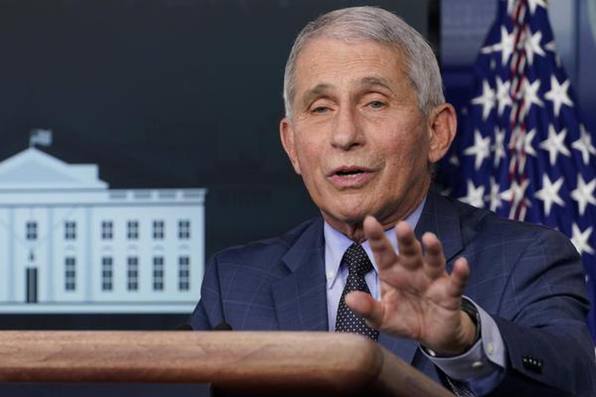 Dr. Anthony Fauci. File