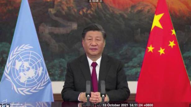 China is a builder of peace and protector of global order: Xi Jinping