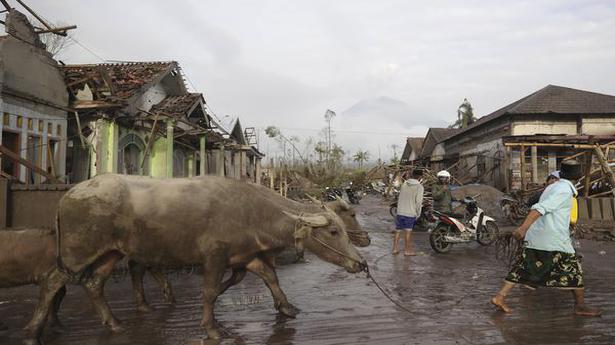 Indonesia Semeru volcanic eruption kills 13; 10 evacuated