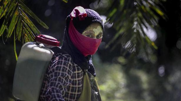 Investigations reveal sexual abuse, grim labour conditions in palm oil fields linked to top beauty brands