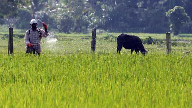 Sri Lanka revokes ban on fertilizers