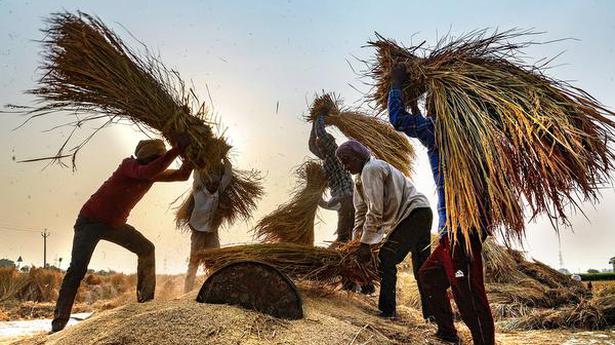 Low earnings, debt traps driving suicide rate among Punjab's farm labourers: Study