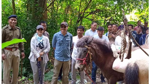 Mule mantra for remote Arunachal villages without roads