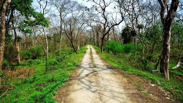 Govt. moots easier clearance for forest land use