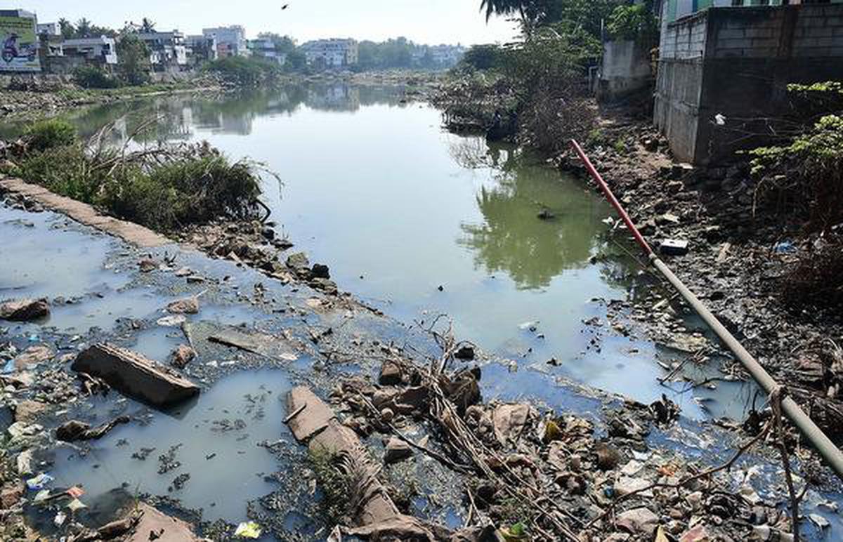 The Tangellamudi canal is filled with garbage in Eluru town.