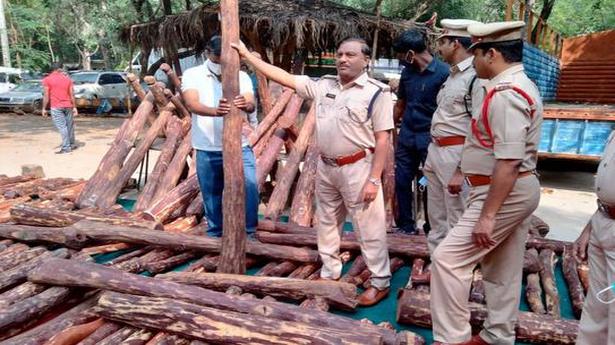 Ground zero action plan to curb felling of red sanders