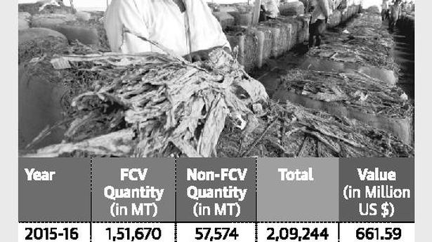 Contract farming in FCV tobacco on the cards