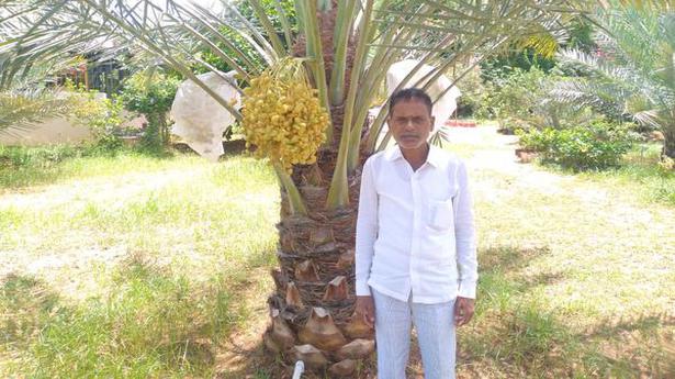 Chittor’s farmer’s ‘date’ with innovation!