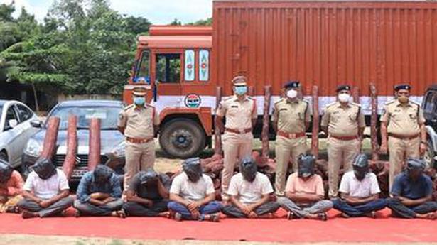 Red sanders logs worth ₹2 cr. seized, 13 held in Chittoor