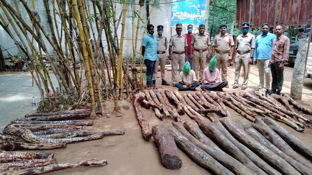 Two held, 42 redsander logs seized in Chittoor’s KVB Puram