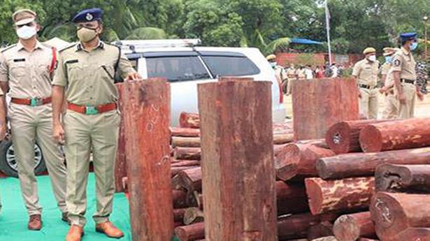 ₹6.2 crore worth red sanders dump seized, key accused nabbed