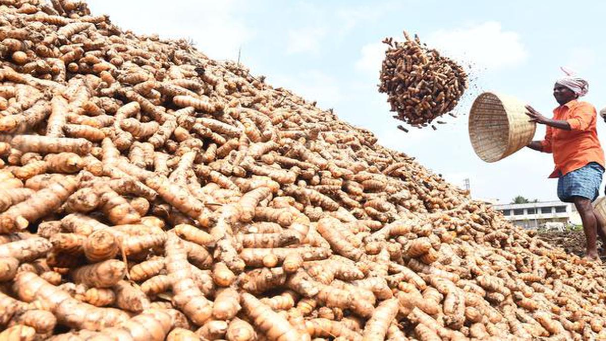 Nara Lokesh Tweets To Support Turmeric Farmers To YSJ