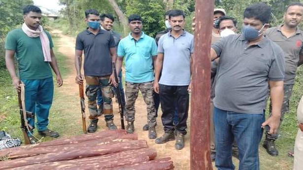 Red sanders smugglers now strike the core of Seshachalam forests