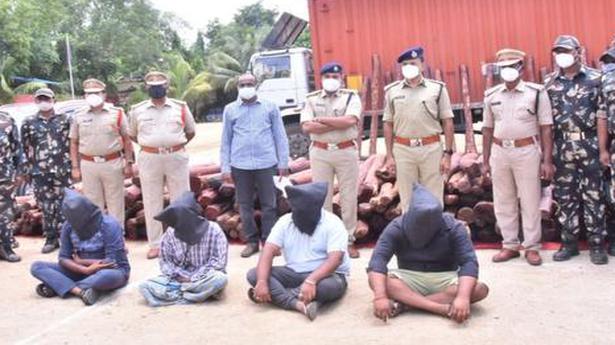 Red sanders dump worth ₹5 crore seized in Chennai