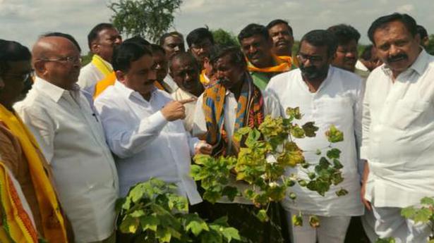 TDP begins assessment of crop loss in Anantapur