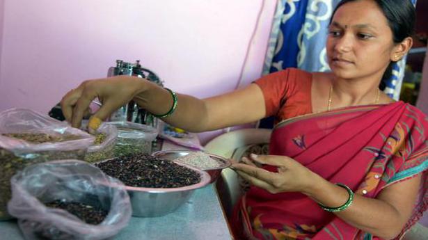 National News: Organic black rice finds few takers in Anantapur