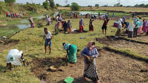 Finance Ministry advised the split in MGNREGA wage payments