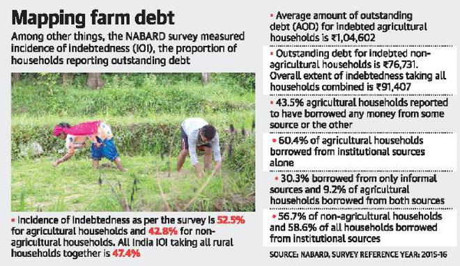 Half of farm households indebted: NABARD study