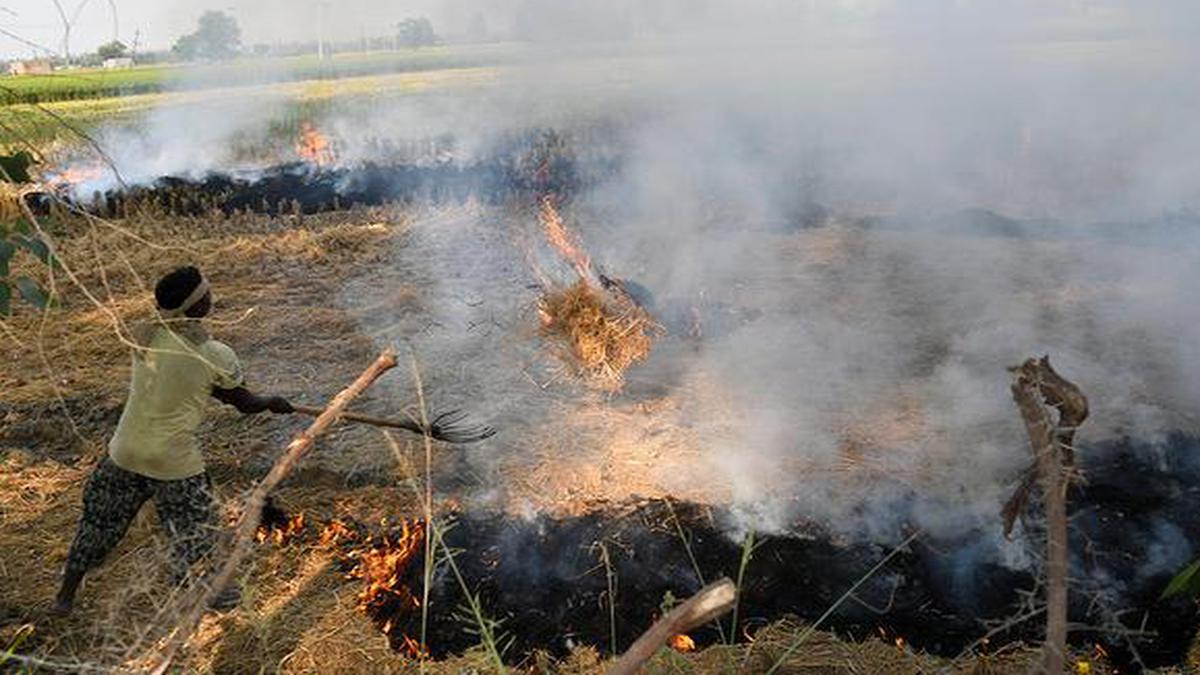 Economic Survey 2019-20: Stubble burning incidents come down - The Hindu