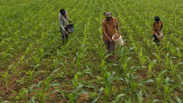No landless farmers in new database