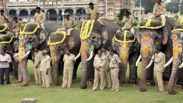 Warm send-off accorded for Dasara elephants