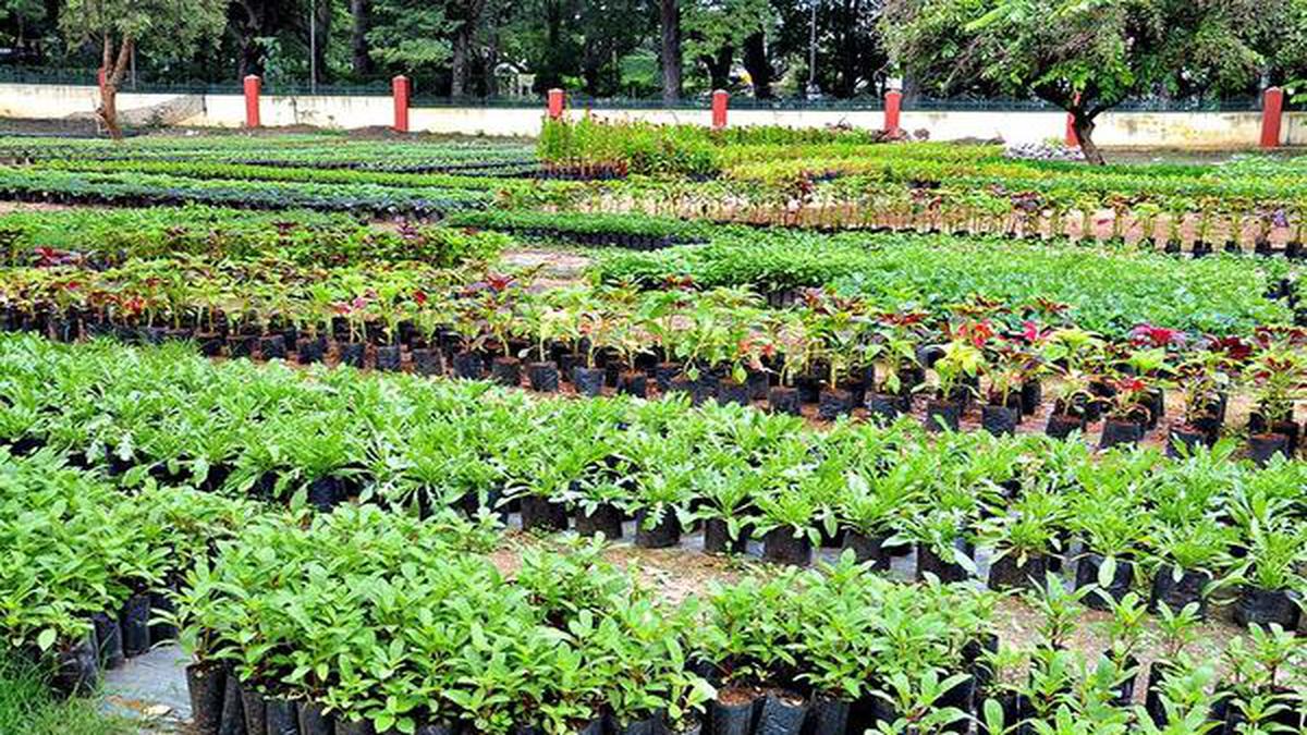 Image result for Assam: 'Plants for Plastic' campaign to be launched in Bongaigaon distt