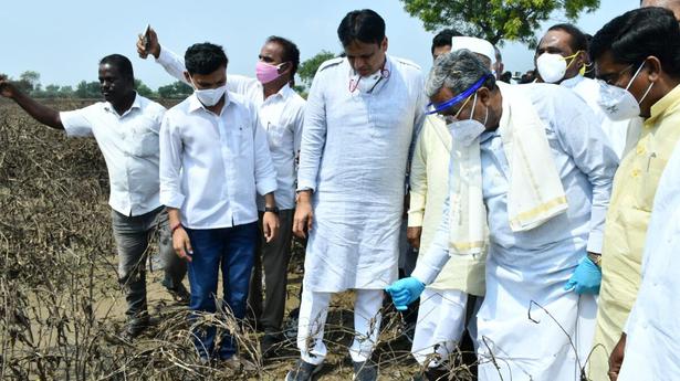 Siddaramaiah urges Karnataka Government to conduct survey on crop loss