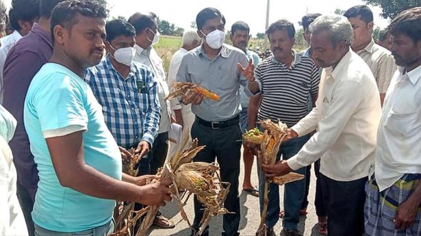 Karnataka writes to Centre seeking financial aid for crop loss