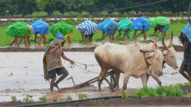 Farm lending in co-op. sector on track in Karnataka, says Minister